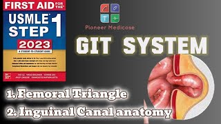 Anatomy of Inguinal Canal femoral triangle from first aid step 1part 8USMLEUrduHindi [upl. by Sapowith992]