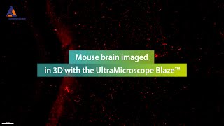 Unveiling the brains architecture Mouse brain imaged in 3D with the UltraMicroscope Blaze™ [upl. by Stephie]