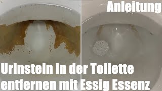 Urinstein in der Toilette entfernen mit Essig Essenz Anleitung [upl. by Sekoorb]