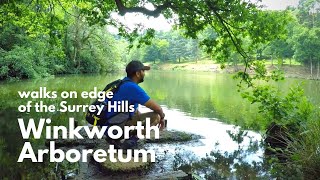 Winkworth Arboretum  Stunning lake woodlands and walks on edge of the Surrey Hills [upl. by Clayton294]