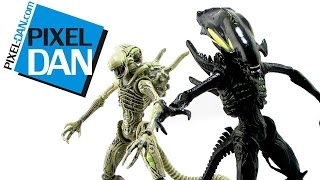 Hiya Toys Aliens Colonial Marines Xenomorph Boiler amp Spitter Figures Video Review [upl. by Sirama]