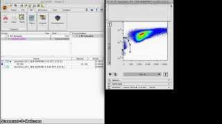 Gating Annexin V Data [upl. by Enaj236]