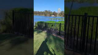 Riding bike around a beautiful Lake with birds [upl. by Poore149]