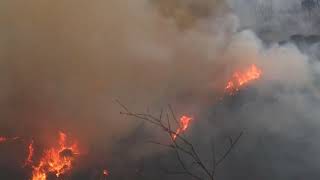 Incêndio em Palmela e Serra da Arrábida [upl. by Rednaxela]