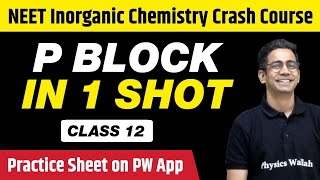 P BLOCK in 1 Shot  All Concepts Tricks amp PYQs  Class 12  NEET [upl. by Alver]