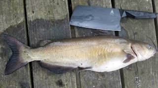 Catfish Catch Clean amp Cook  Bank Fishing Tips and How to Catch Catfish from Shore [upl. by Rexanna]