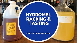 Hydromel Mead Tasting  Any Good [upl. by Ranip]