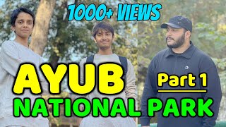 Ayub National Park Vlog  Part 1   Animals Fighting 😱 Rawalpindi  Hassan Zaidi Vlogs [upl. by Sherill436]