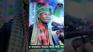 আজিব এক কন্ঠ। কারী ঈদী শাবান। Qari Eidi Saban Quran Tilawat [upl. by Yellas]