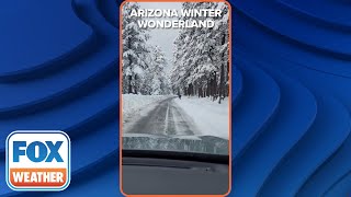 Beautiful Snowy Drive in Flagstaff Arizona [upl. by Asset]