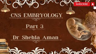 CNS Embryology  Forebrain development  Dr Shehla Aman [upl. by Edniya]