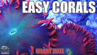 SOFT CORALS  Easy Low Maintenance Hardy Corals For Beginners  Hilary Jaffe [upl. by Cassandre]