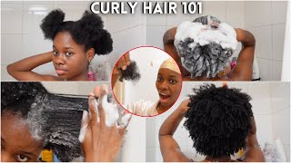 4C Natural hair wash day routine for beginners  No breakage  Beginners guide to thick amp curly 4c [upl. by Caleb]