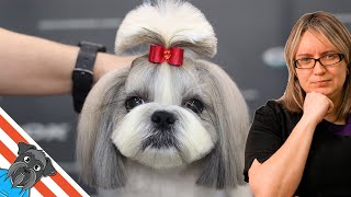 Grooming Tutorial  How To Groom a Shih Tzu Head [upl. by Grodin]