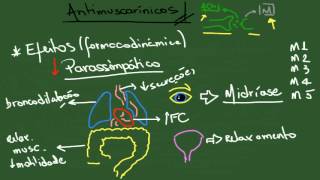 Antimuscarínicos Parassimpatolíticos  Resumo  Farmacologia [upl. by Eile424]