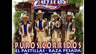 El Michoacano  Los Zafiros Del NortePuro Corridos [upl. by Ahsenak258]