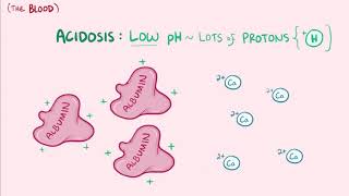 Hypercalcemia causes symptoms diagnosis treatment pathology [upl. by Sisco963]