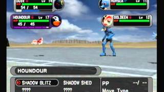 Colorful Yes Bright No  Pokémon XD Gale of Darkness Walkthrough quot8110quot No Commentary [upl. by Nwahsek]