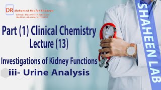 Clinical chemistry  Lecture 13  Investigations of Kidney functions 2   Clinical Pathology Course [upl. by Negyam]