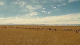 Celebrating the Festival of Lights known as Galdan Namchot in northern Xizangs winter pastures [upl. by Gudrin646]