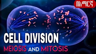 CELL DIVISION  Meiosis And Mitosis Amharic በአማርኛ [upl. by Elonore]