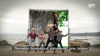 2000 Med Raske Menn  The Sad Sad Sad Country Singer Musikkvideo [upl. by Melantha]