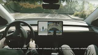 Tesla FSD 12513 Performance Review Mixed Feedback [upl. by Kinelski]