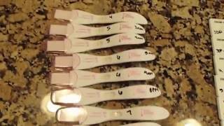 LINE PROGRESSION  IVF PREGNANCY TESTS PREGNANCY TEST COMPARISON  3dp5dt  13dp5dt [upl. by Christye908]