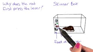 Skinner box  Intro to Psychology [upl. by Asilana]