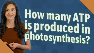 How many ATP is produced in photosynthesis [upl. by Seek]