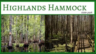 Highlands Hammock State Park [upl. by Azeel358]