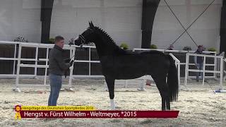 Fürst Wilhelm  Weltmeyer 2015 [upl. by Brear]