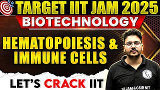 IIT JAM 2025 Hematopoiesis and Immune cells  Immunology  IIT JAM Biotechnology 2025  PW [upl. by Selig]