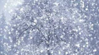 VIVALDI  Winter from The Four Seasons [upl. by Hump]