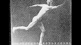 Muybridge Short Clip [upl. by Ahcsatan365]