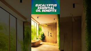 Why You Should Put Eucalyptus Oil in Your Shower for AWESOME Benefits [upl. by Mok318]