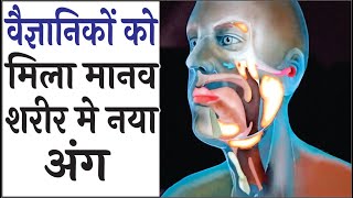 Torus tubarius in hindi  वैज्ञानिकों को मिला मानव शरीर में नया अंग  New organ found in human body [upl. by Declan577]