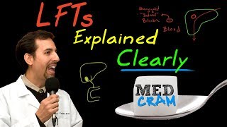 Liver Function Tests LFTs Explained Clearly by MedCramcom [upl. by Barboza440]