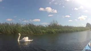 Kayaking the River Wissey Norfolk 9916 [upl. by Nunnery]