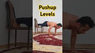 Pushup Levels [upl. by Pish]