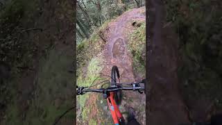 Rainy Hartland Downhill MTB [upl. by Lusar]