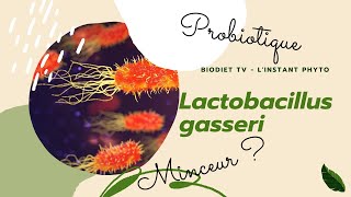 🦠 Lgasseri la bactérie minceur  🤔 dans lInstant Phyto  BioDiet TV  🎬 [upl. by Lena208]