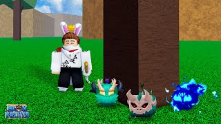 Passei Mais 24 Horas RASTREANDO As Novas FRUTAS Do BLOX FRUITS [upl. by Relyc469]