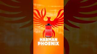 Harman Phoenix 200 es un MILAGRO ✨ [upl. by Demb]