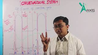 ECG Tracing  Cardiovascular System বাংলা [upl. by Attiuqahs]