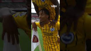 Joao Pedros Arsenal Equaliser 🤩 brightonandhovealbion arsenal [upl. by Veronika]