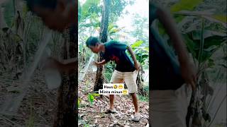 Haus🤣😁 comedy comedyvideo shortsfeed shortvideo shorts funnycomedy funny fyp [upl. by Refotsirk]