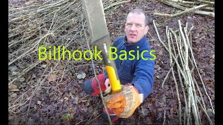 How to Use a Billhook to Dress Hazel Coppice Rods [upl. by Simpkins]