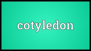 Cotyledon Meaning [upl. by Hewe302]