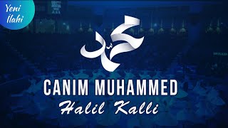 CANIM MUHAMMED sav  Halil KALLİ Yeni İlahi 2024 Lyric Video [upl. by Aitram]